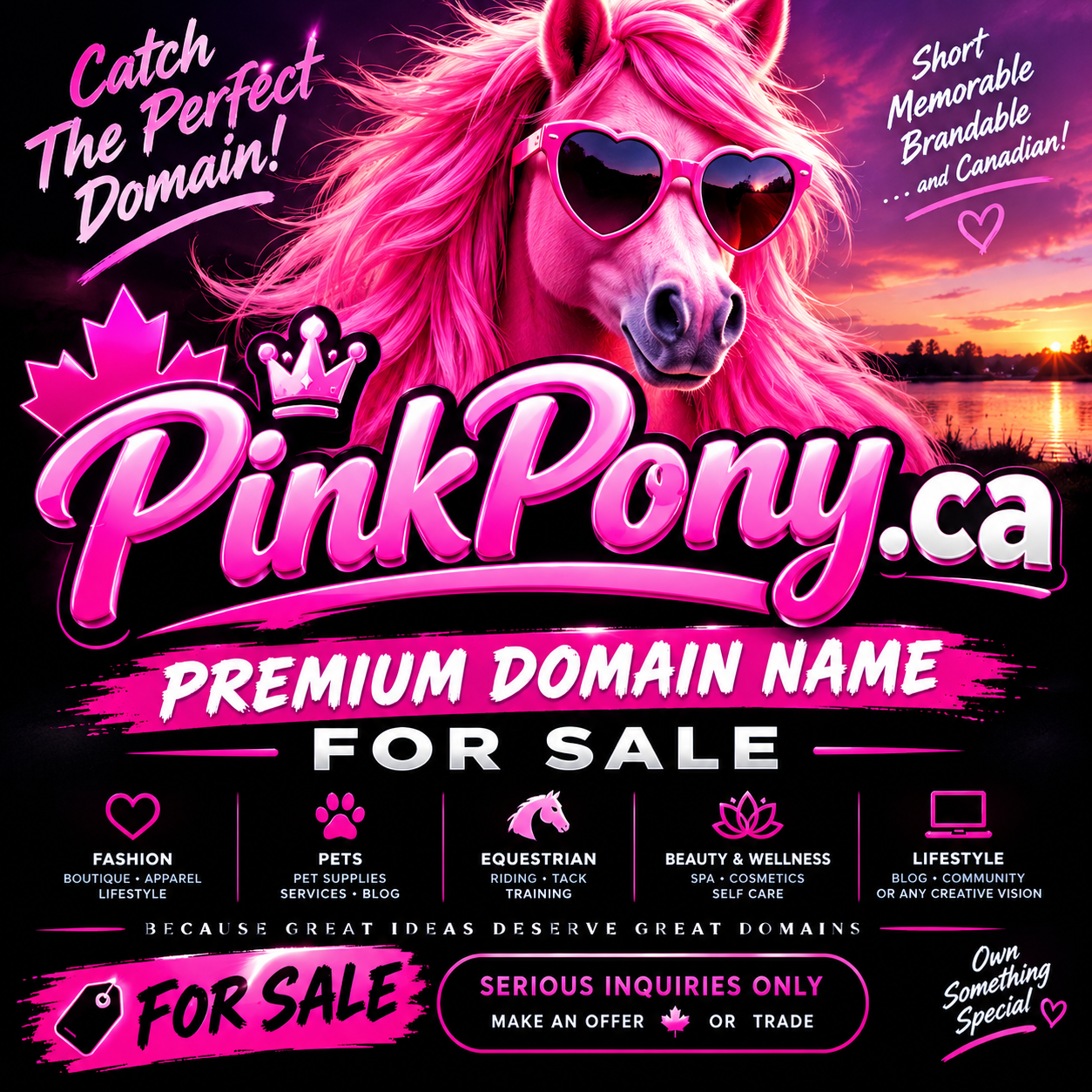 PinkPony.ca Domain for Sale